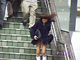 P-VIDEO
