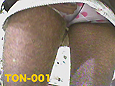 �˥󥸥�
